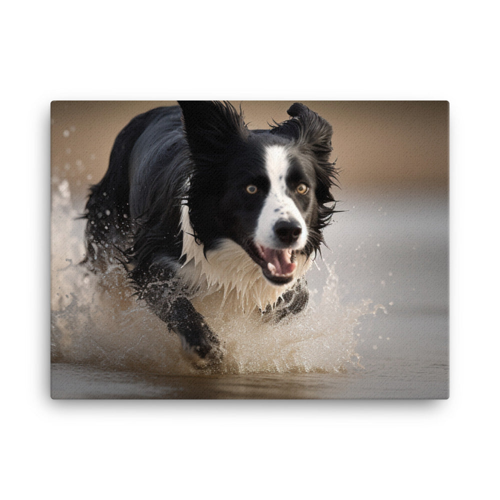 Energetic Border Collie in Action canvas - Posterfy.AI