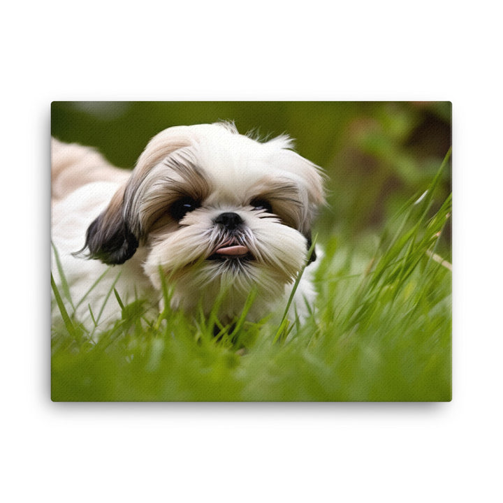 Playful Shih Tzu Enjoying the Outdoors canvas - Posterfy.AI