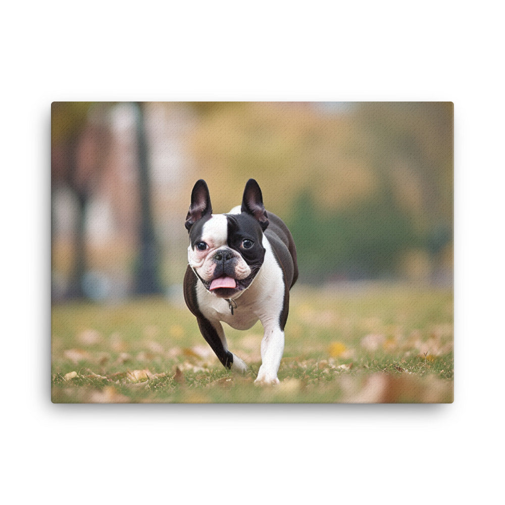 Spunky Boston Terrier in the Park canvas - Posterfy.AI