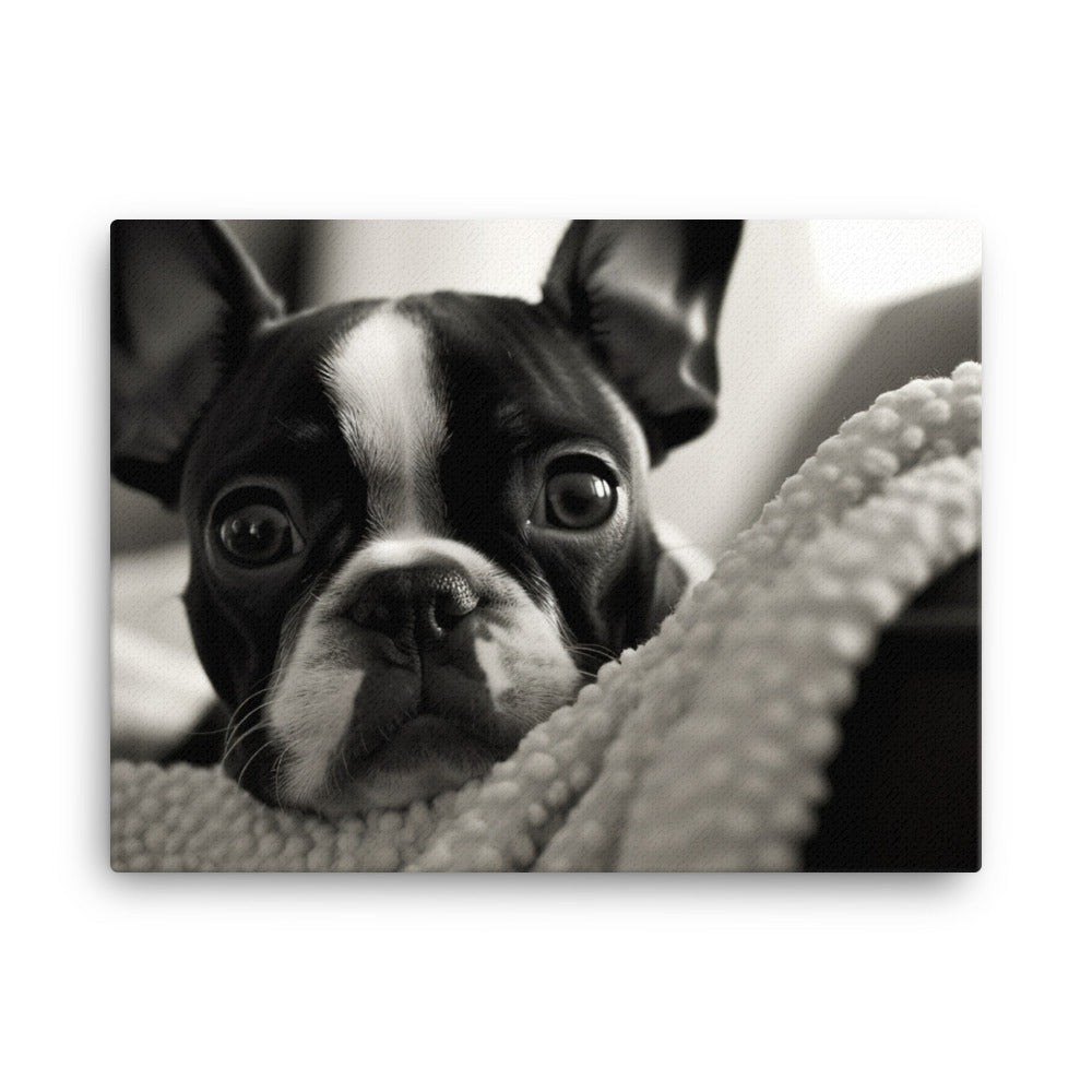 Boston Terrier Pup at Home canvas - Posterfy.AI