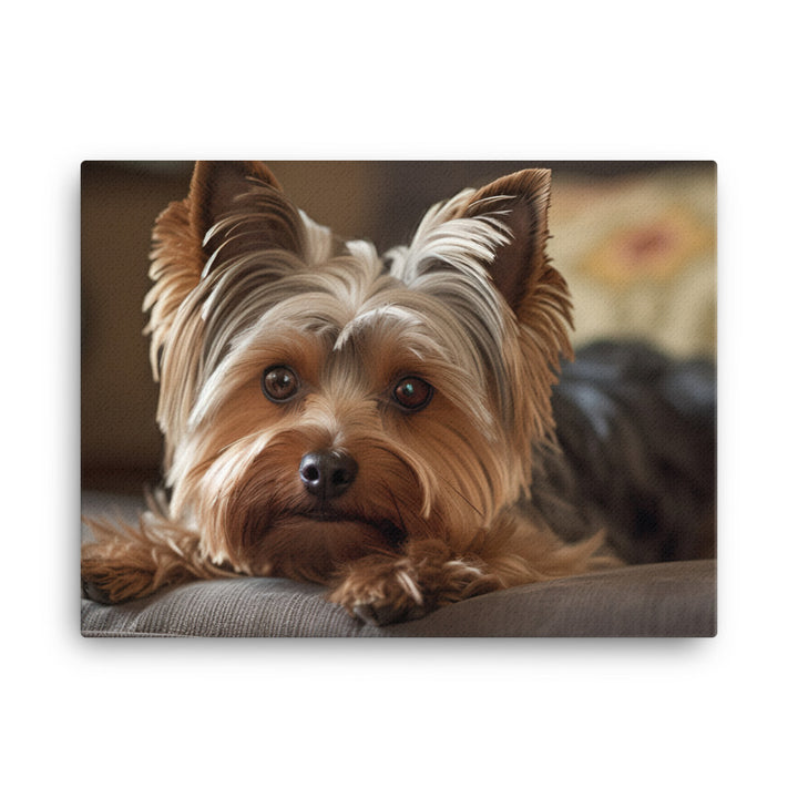 Yorkie at Home canvas - Posterfy.AI