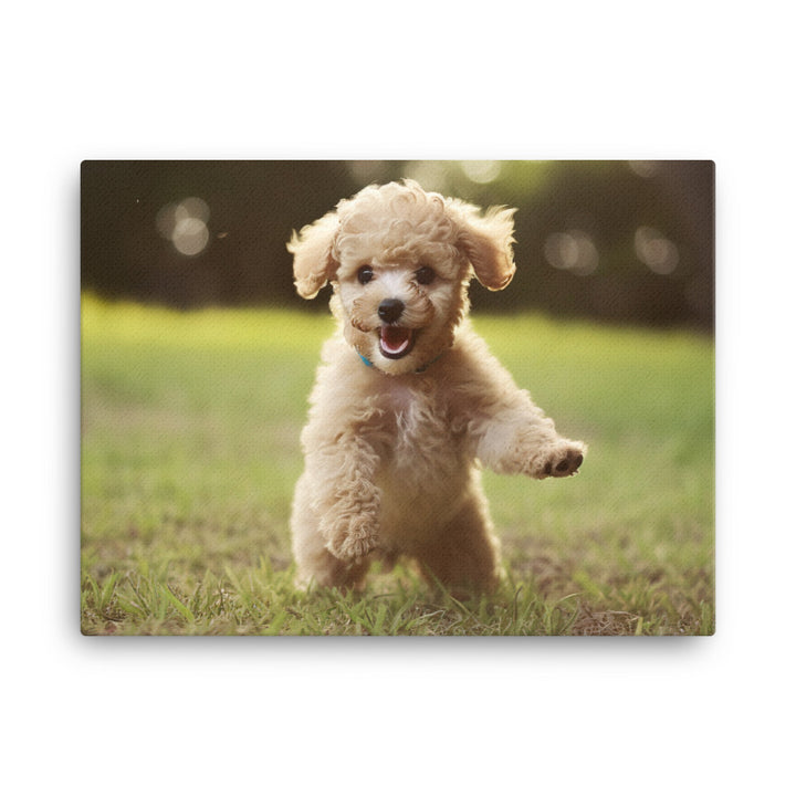 Playful Poodle Pup canvas - Posterfy.AI