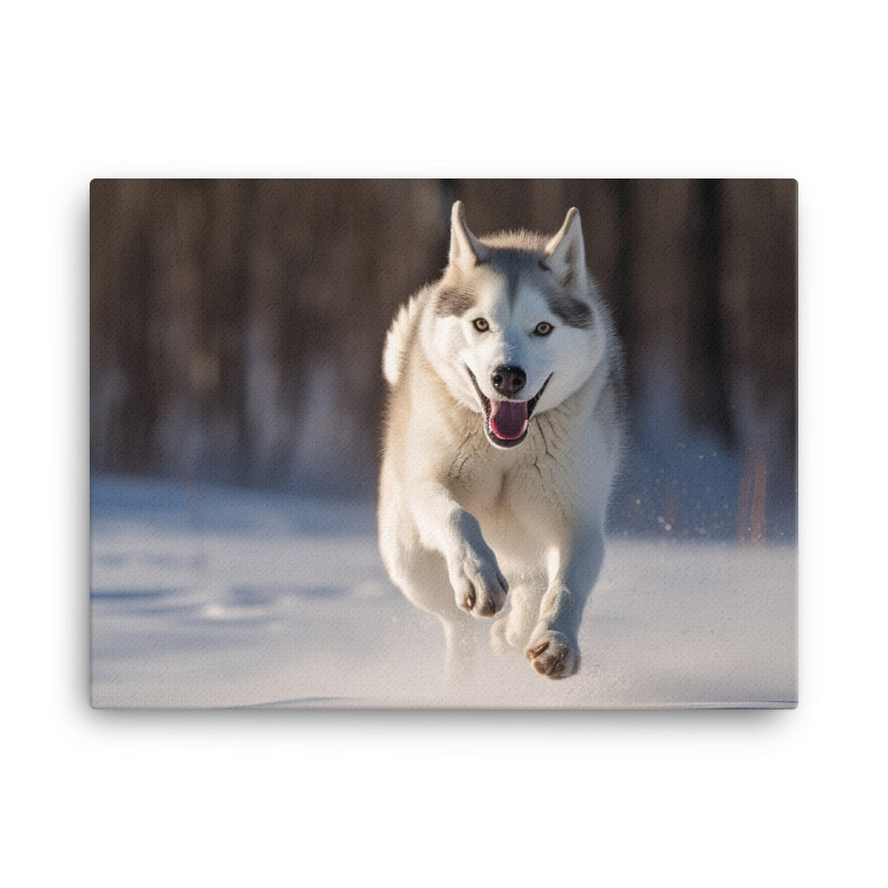 Siberian Husky in full stride canvas - Posterfy.AI