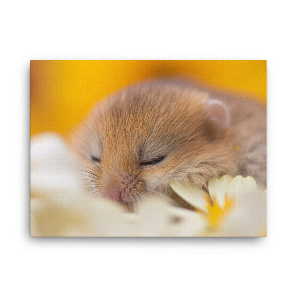 Sleepy Harvest Mouse taking a nap on a flower canvas - Posterfy.AI