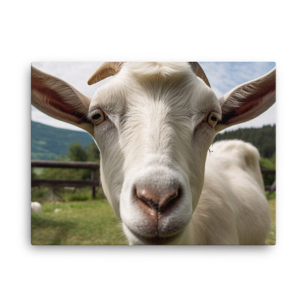 Curious Saanen goat canvas - Posterfy.AI