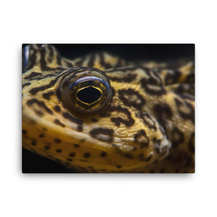 Bristlenose Pleco in its Glory canvas - Posterfy.AI