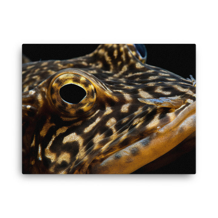 Bristlenose Pleco in its Glory canvas - Posterfy.AI