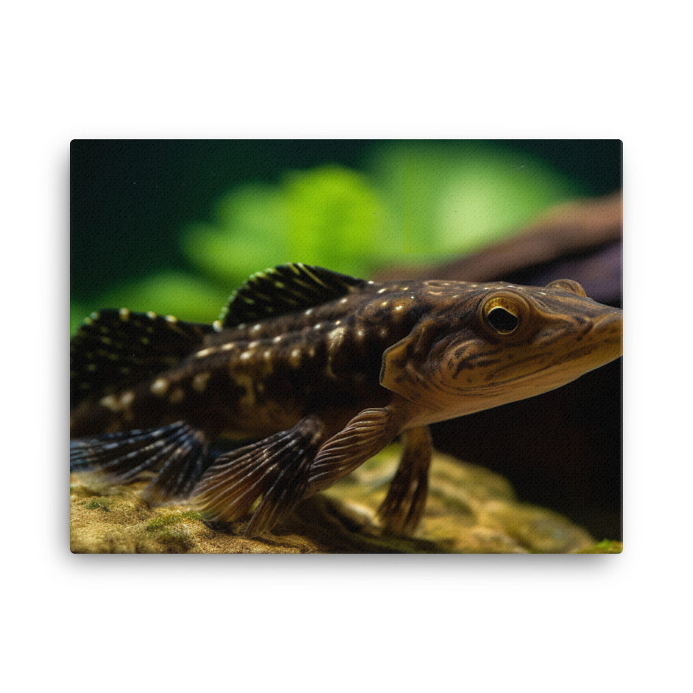 Bristlenose Pleco Cleaning Crew canvas - Posterfy.AI
