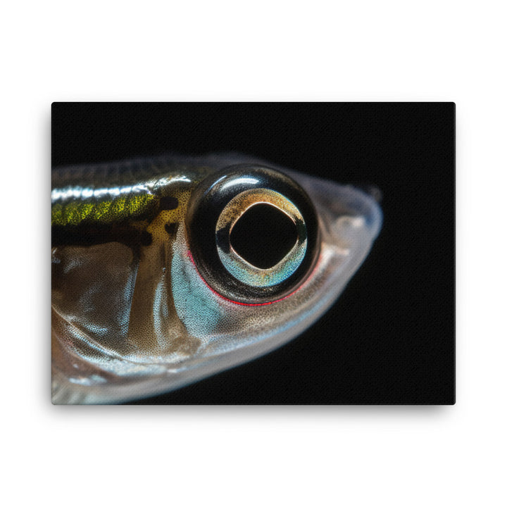 Close-Up of Majestic Zebrafish canvas - Posterfy.AI