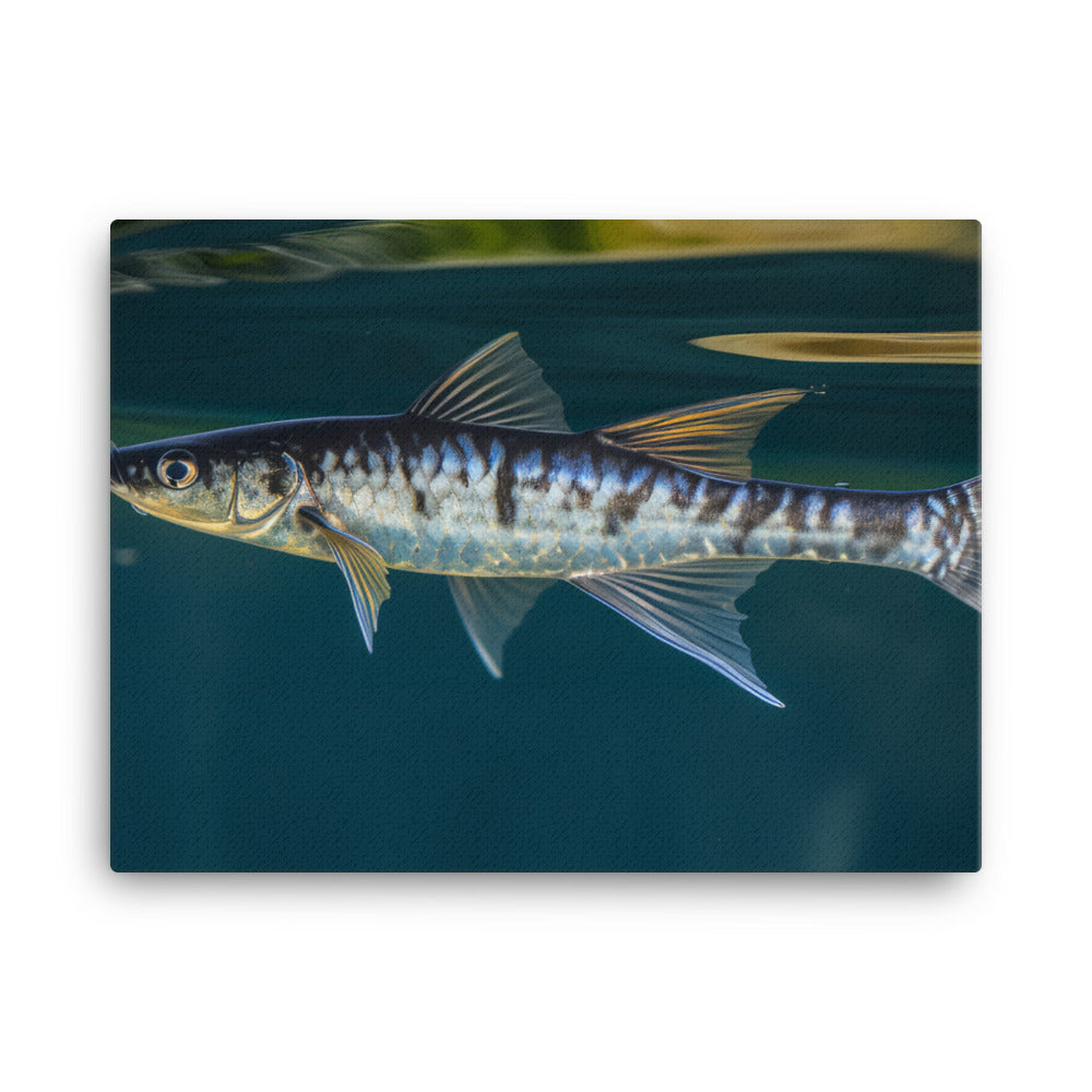 Elegant Swordtail Fish Floating in Serene Waters canvas - Posterfy.AI