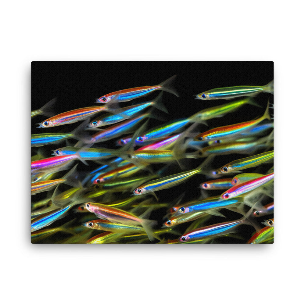 A Rainbow of Neon Tetras canvas - Posterfy.AI