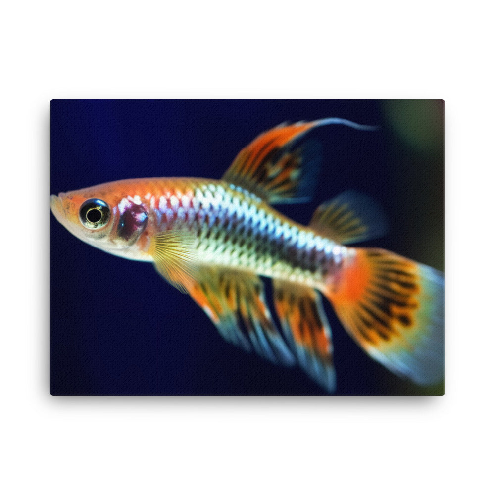 Colorful Male Guppy Swimming in Aquarium canvas - Posterfy.AI