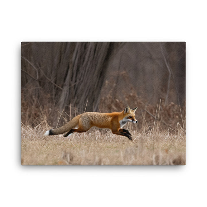 Red Fox Hunting for Prey canvas - Posterfy.AI