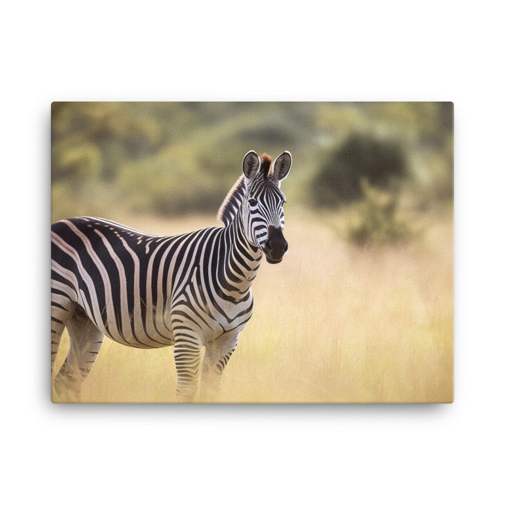 Graceful Zebra grazing in the savanna canvas - Posterfy.AI