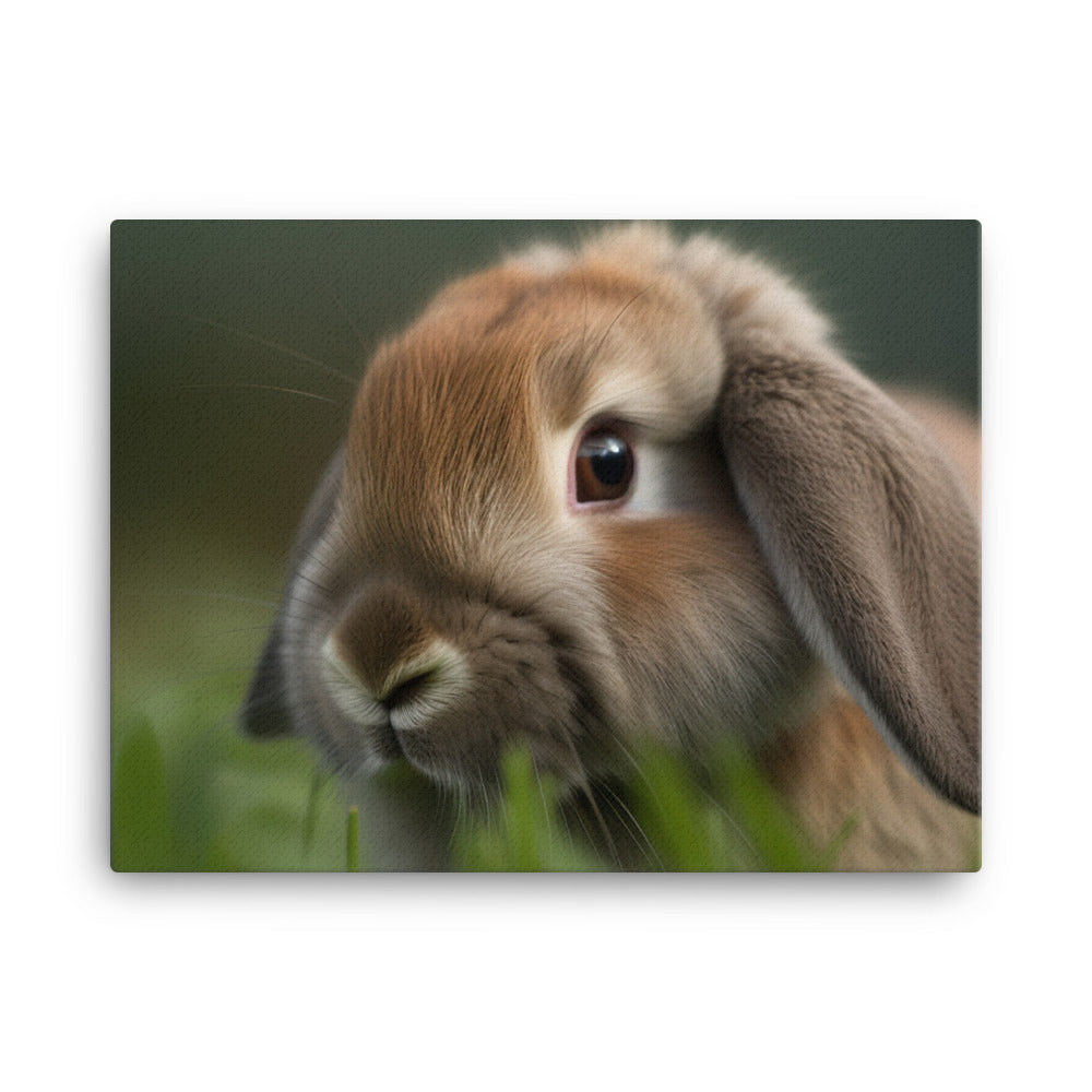 Holland Lop - Adorable and cuddly bunny in the grass canvas - Posterfy.AI