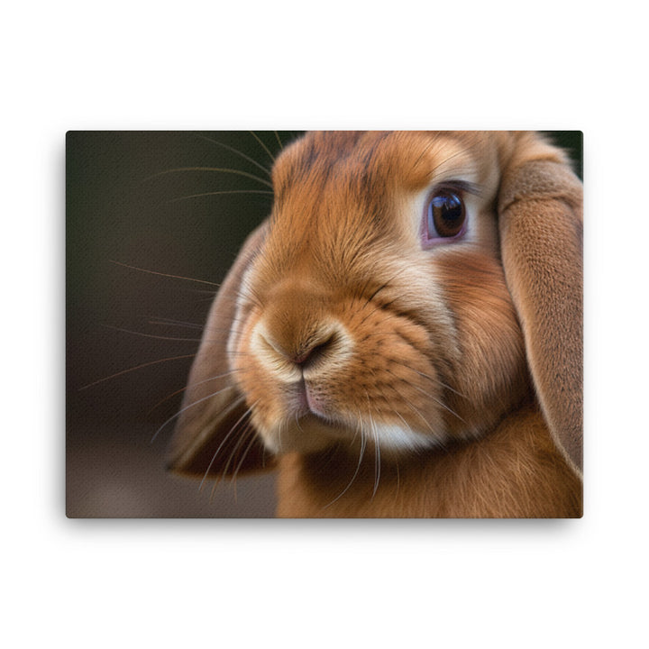 French Lop Portrait canvas - Posterfy.AI