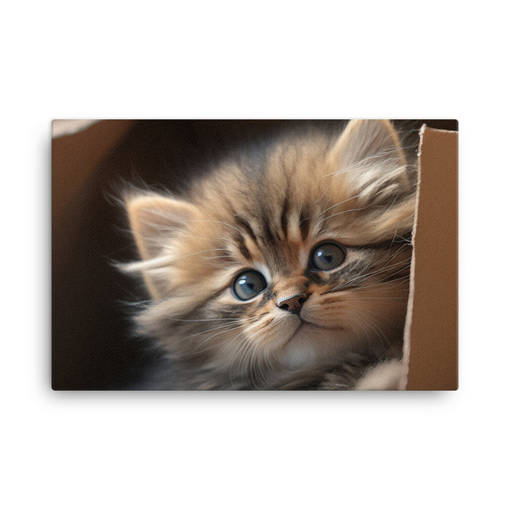 A fluffy kitten peering curiously out of a small cardboard box canvas - Posterfy.AI