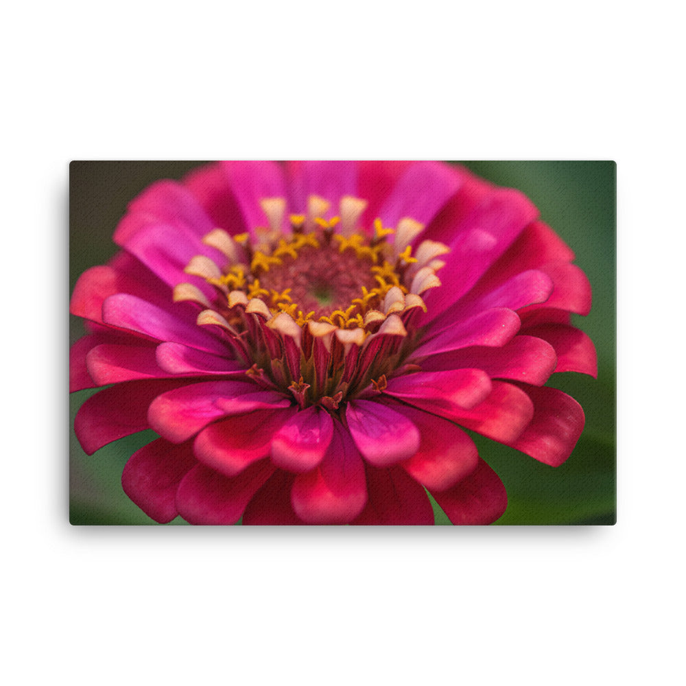 Vibrant Zinnias in Full Bloom canvas - Posterfy.AI