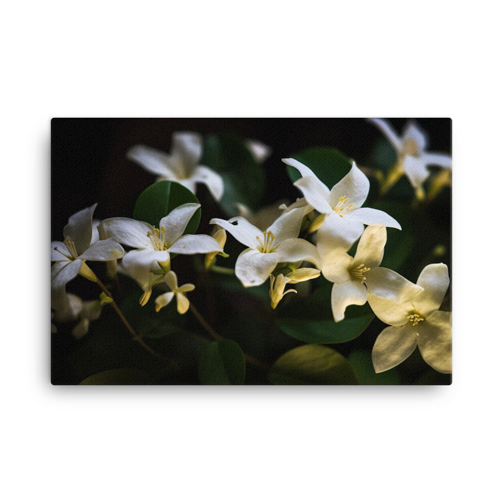 The Elegance of Jasmine Flowers at Night canvas - Posterfy.AI