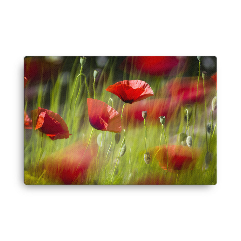 Artistic Poppy canvas - Posterfy.AI