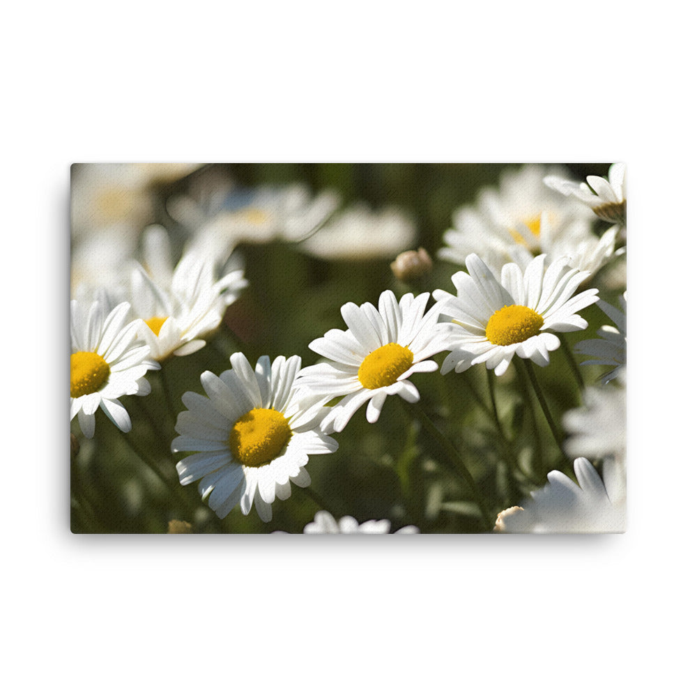 Dazzling Daisies canvas - Posterfy.AI