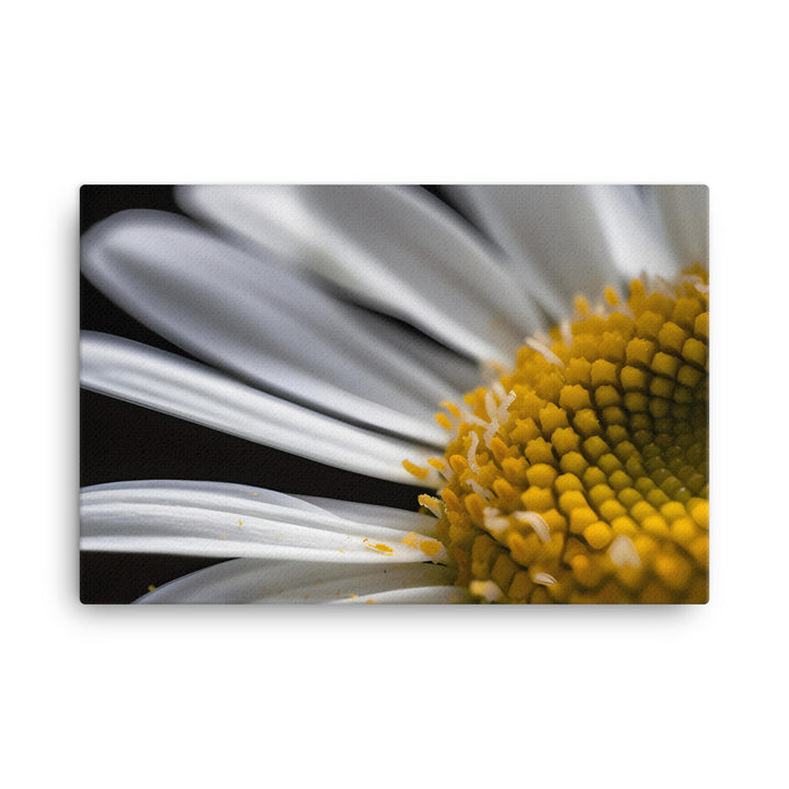 Daisy Petals canvas - Posterfy.AI