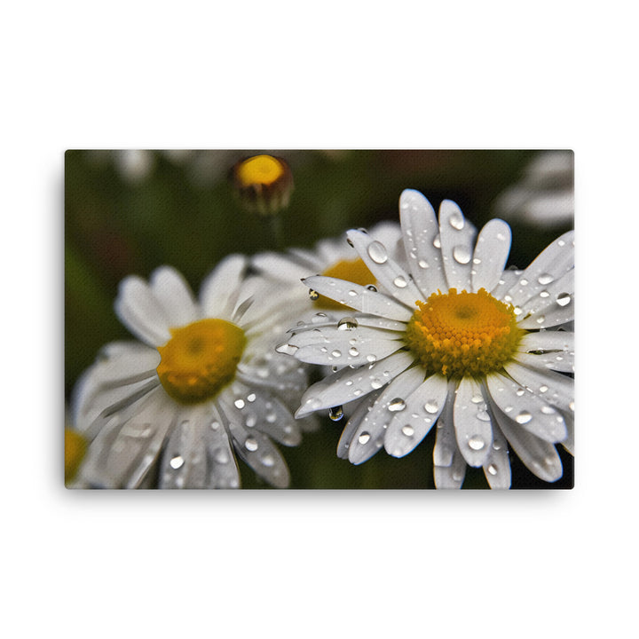 Daisies in the Rain canvas - Posterfy.AI