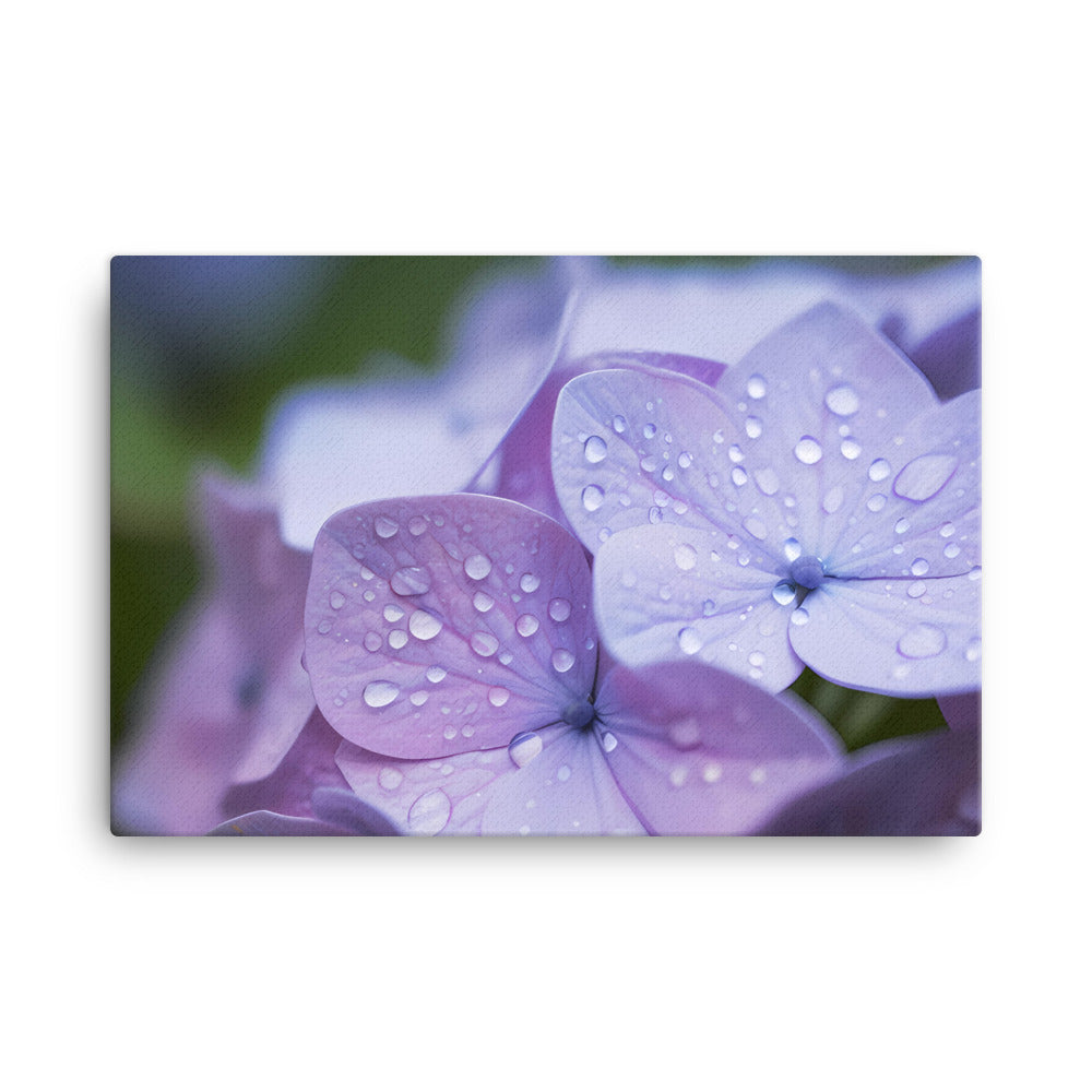 Hydrangea Macro canvas - Posterfy.AI