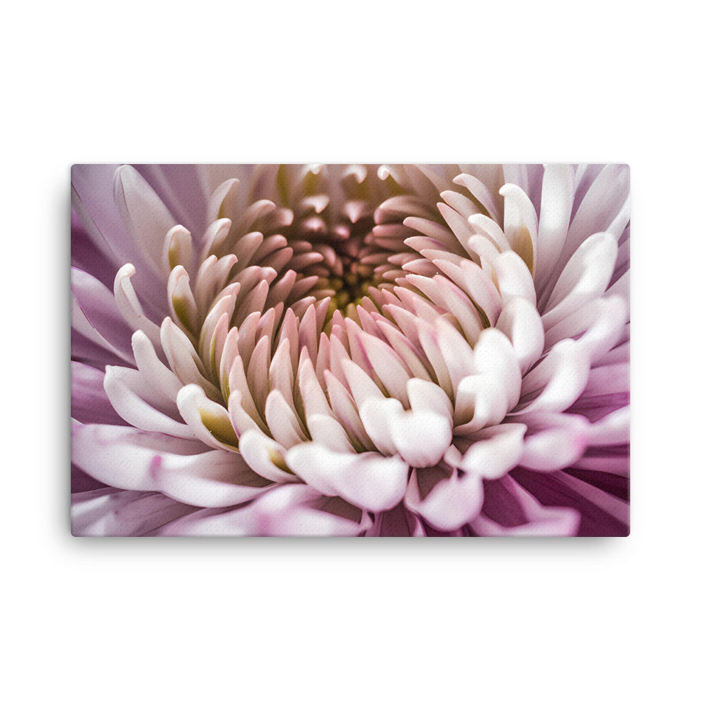 Chrysanthemum Center Stage canvas - Posterfy.AI