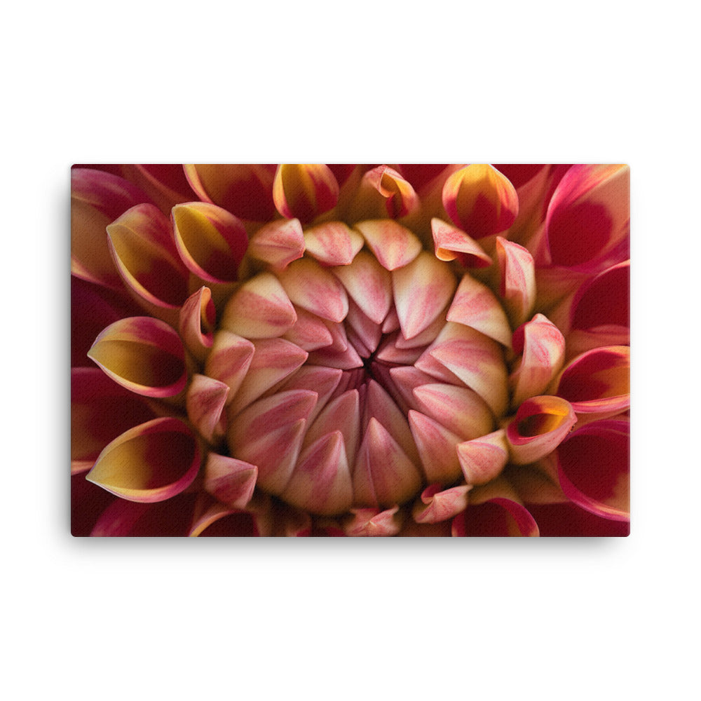 Close-Up of Dahlia Center canvas - Posterfy.AI