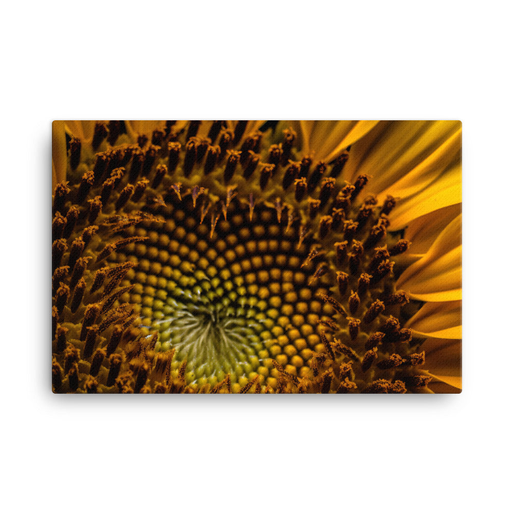 Sunflower Macro canvas - Posterfy.AI