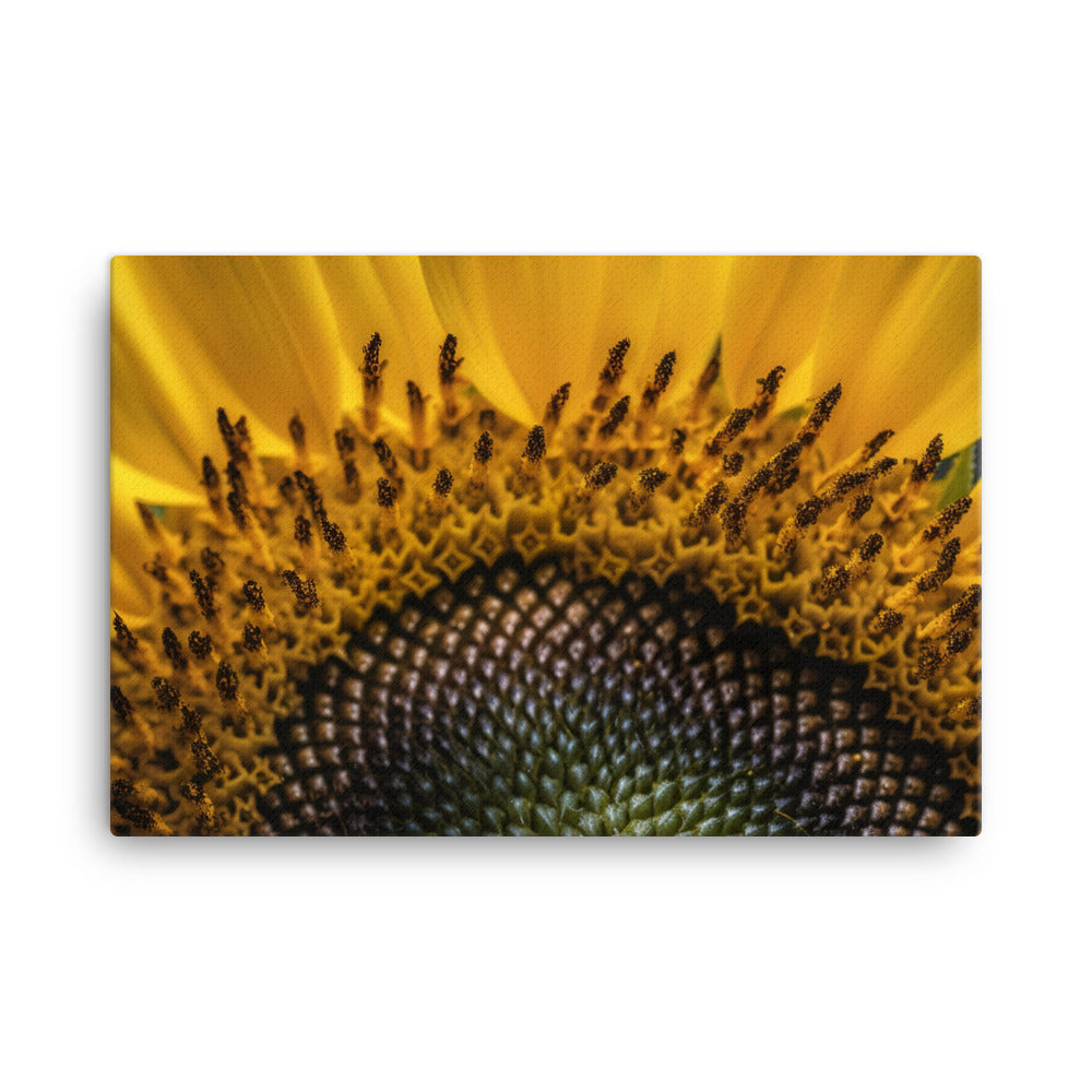 Sunflower Macro canvas - Posterfy.AI