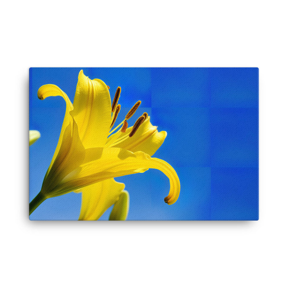 Yellow Lily Against the Sky canvas - Posterfy.AI