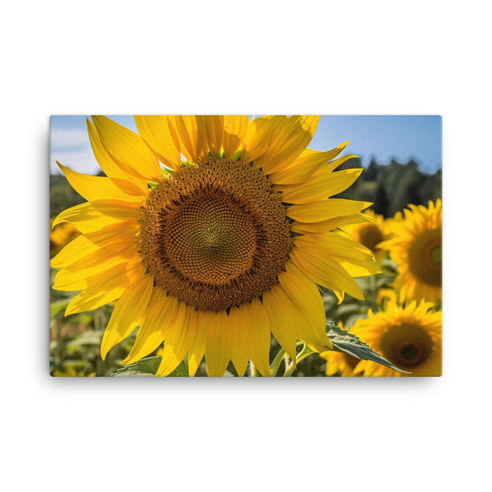 Sunflowers in the Sun canvas - Posterfy.AI