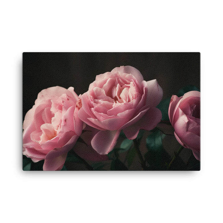 Blushing Pink Roses canvas - Posterfy.AI