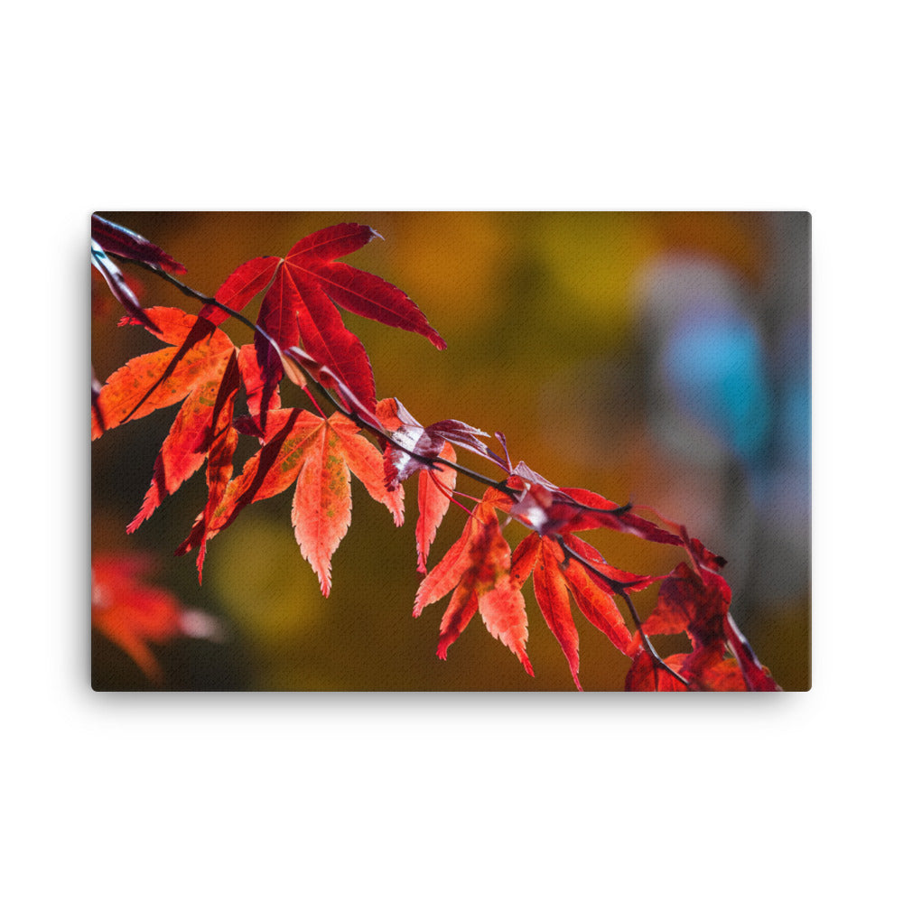 Vibrant Fall Foliage canvas - Posterfy.AI