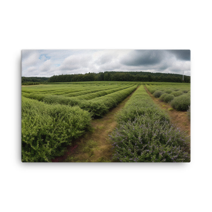 Blueberry Fields Forever canvas - Posterfy.AI