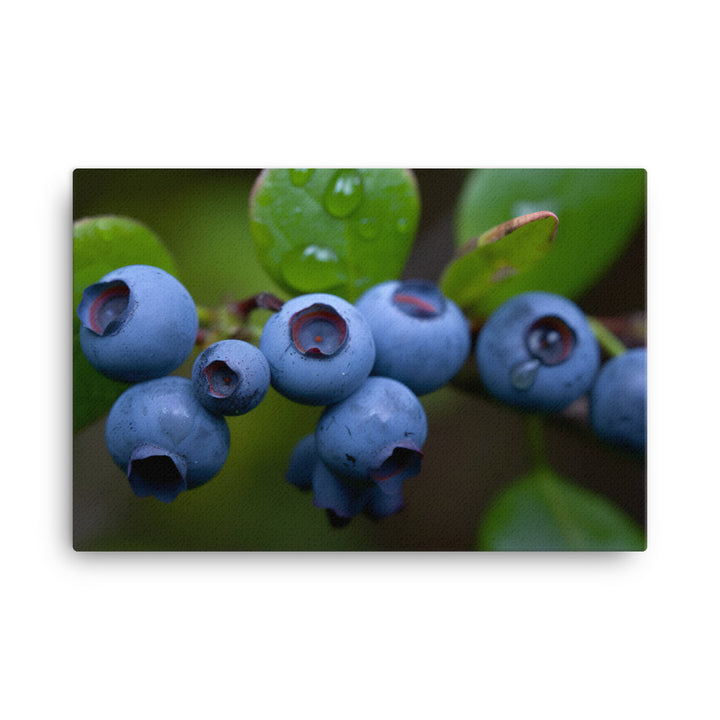 Sweet and Juicy Blueberries canvas - Posterfy.AI