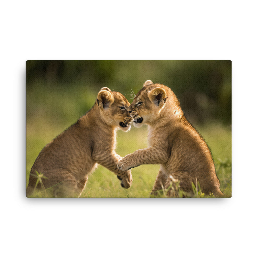 Lion Cubs Playtime canvas - Posterfy.AI