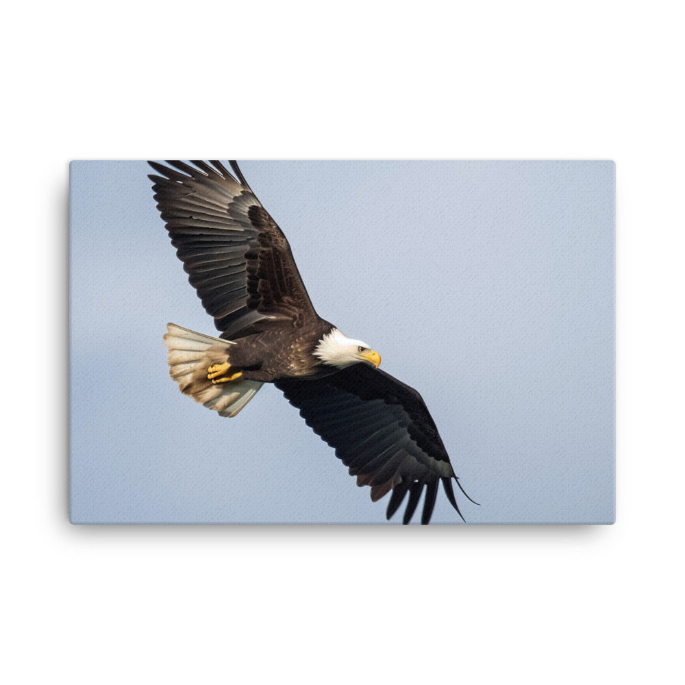 Majestic Bald Eagle Soaring in the Sky canvas - Posterfy.AI