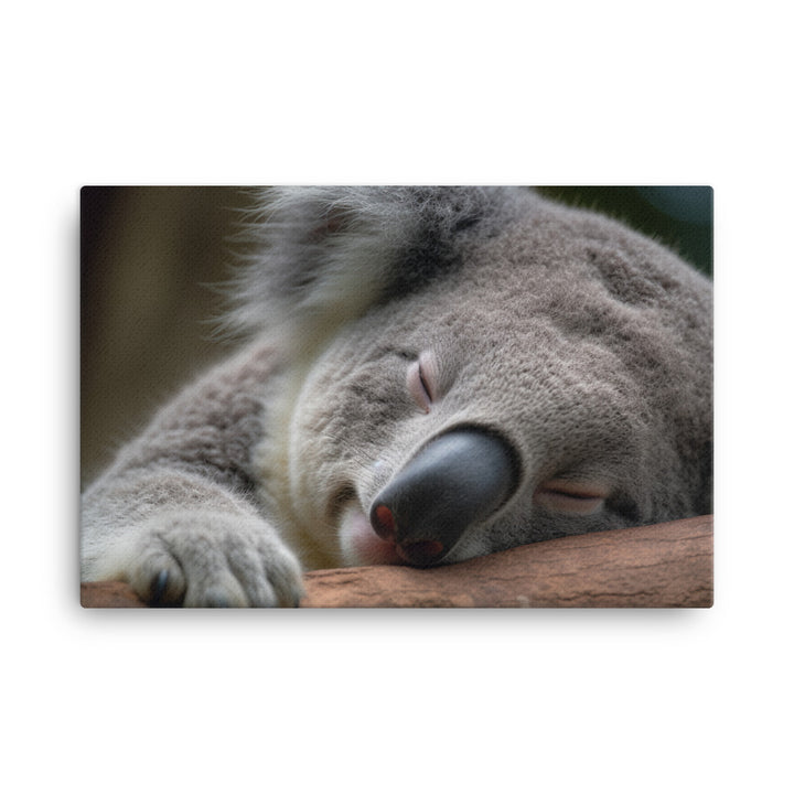 Sleepy Koala Snuggled Up in a Tree canvas - Posterfy.AI