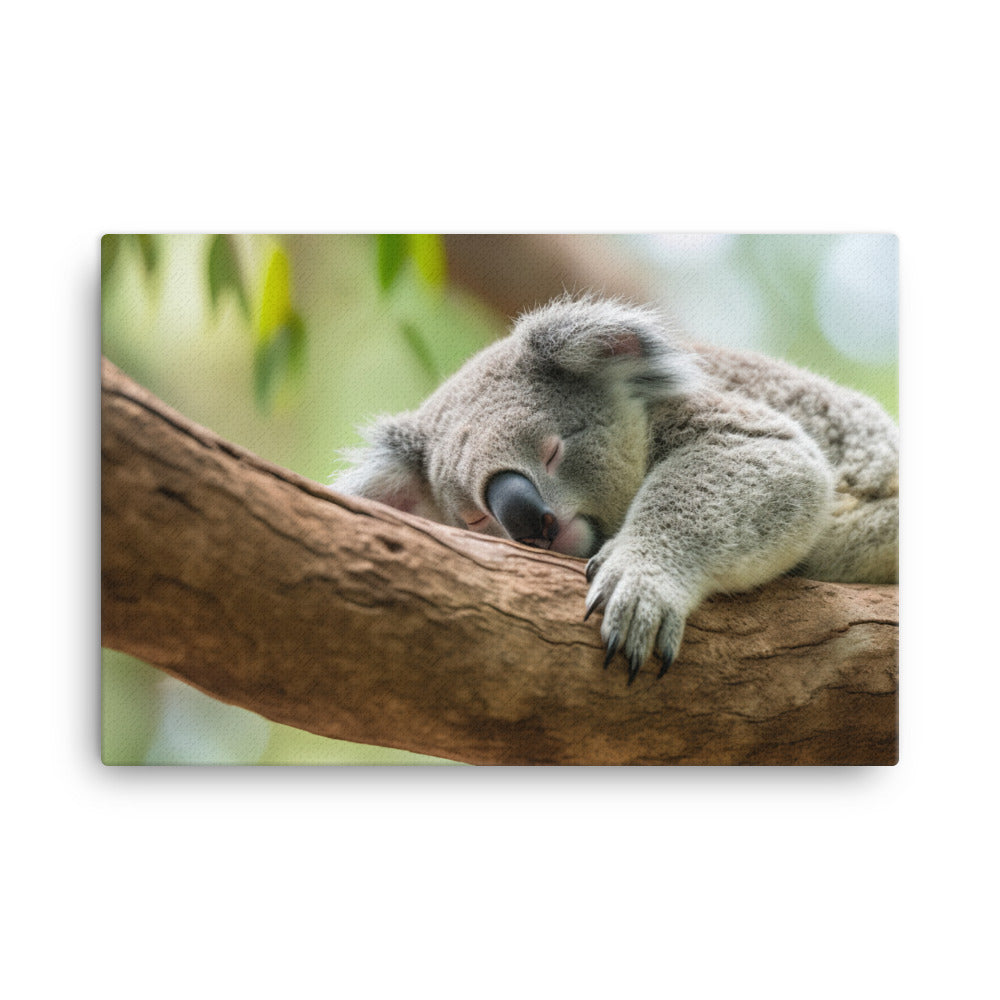 Koala Taking a Nap on a Tree Branch canvas - Posterfy.AI