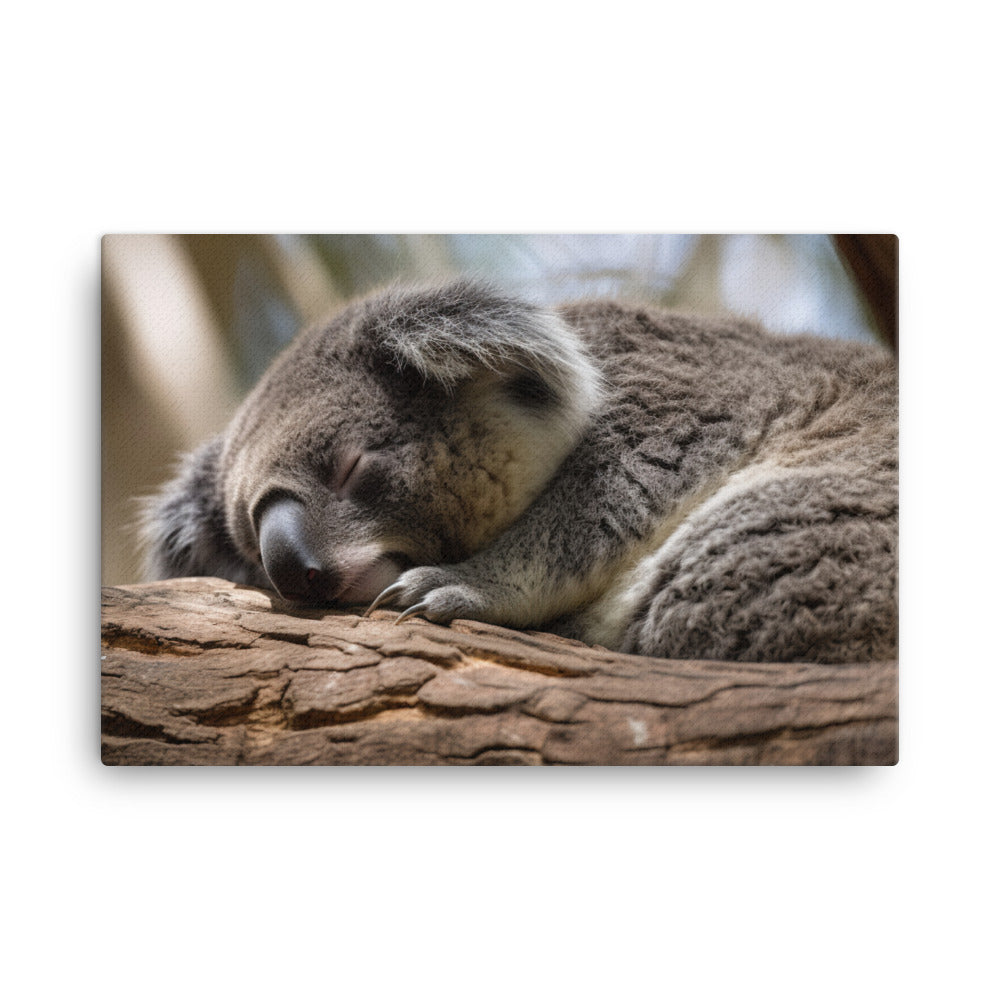 Koala Taking a Nap on a Tree Branch canvas - Posterfy.AI