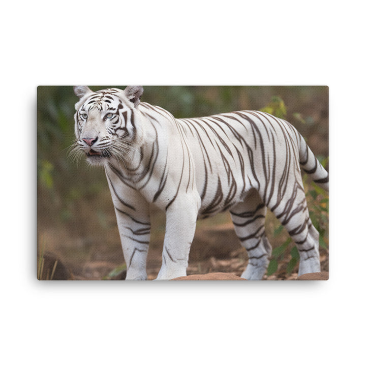 Rare White Bengal Tiger in the Wild canvas - Posterfy.AI