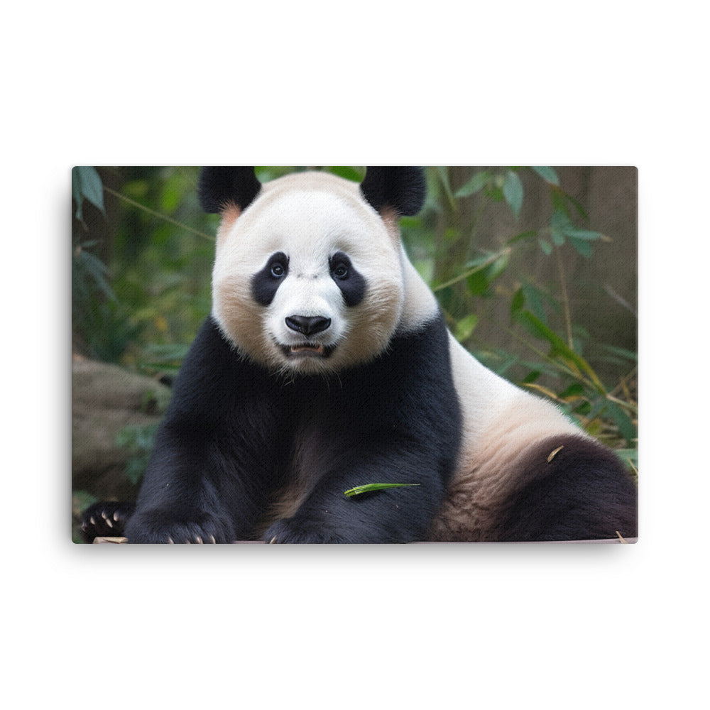 Panda Bear Posing for the Camera canvas - Posterfy.AI