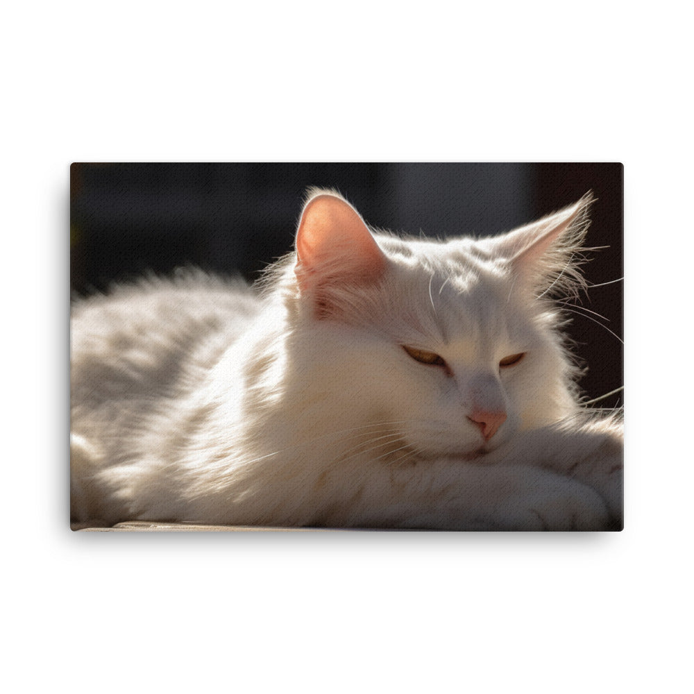 Graceful Turkish Angora relaxing in the sun canvas - Posterfy.AI