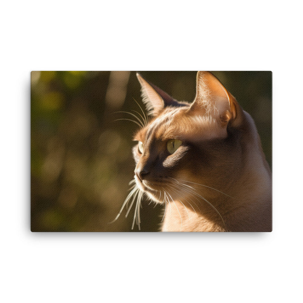 Beautiful Burmese in the Sun canvas - Posterfy.AI