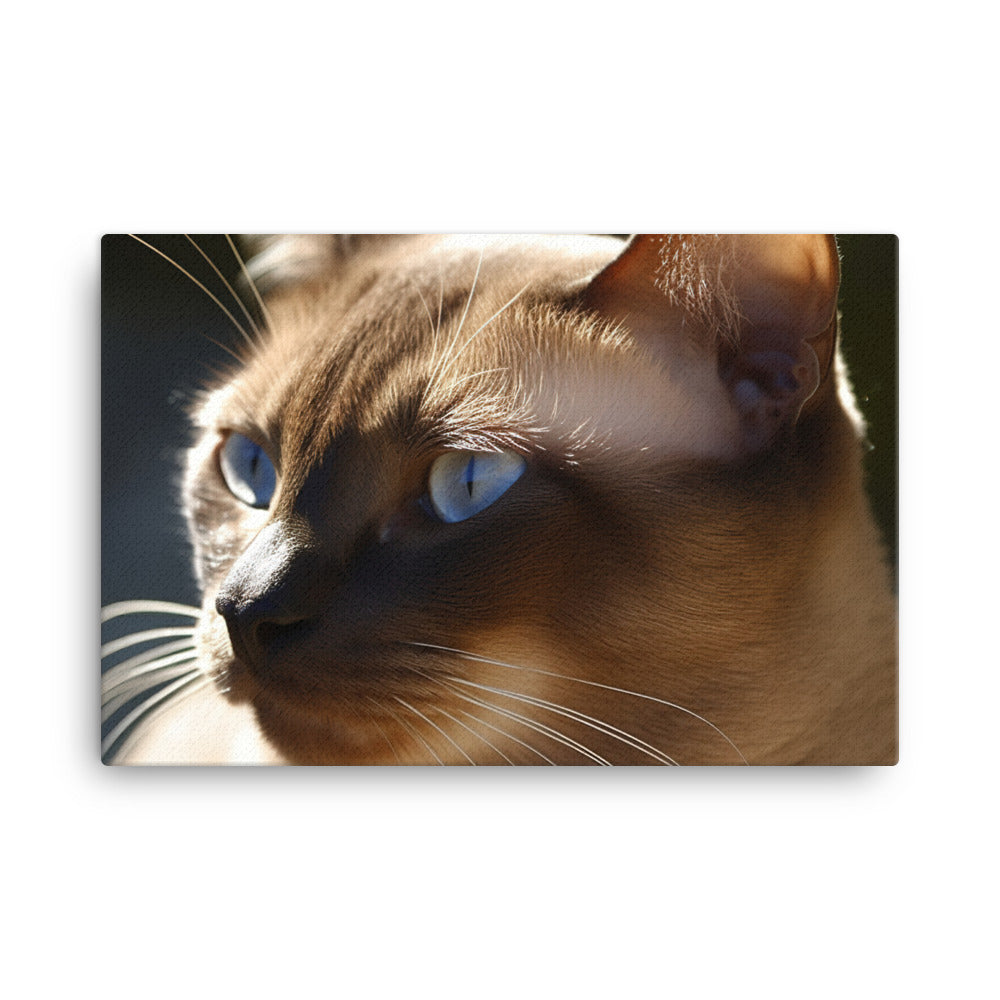 Beautiful Burmese in the Sun canvas - Posterfy.AI