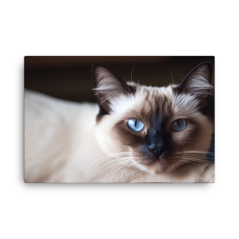 Gorgeous Balinese Cat Relaxing on the Couch canvas - Posterfy.AI