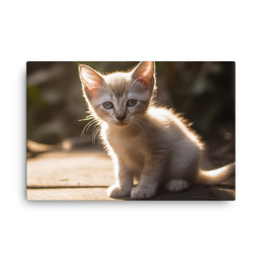 Curious Balinese Kitten in Sunlight canvas - Posterfy.AI